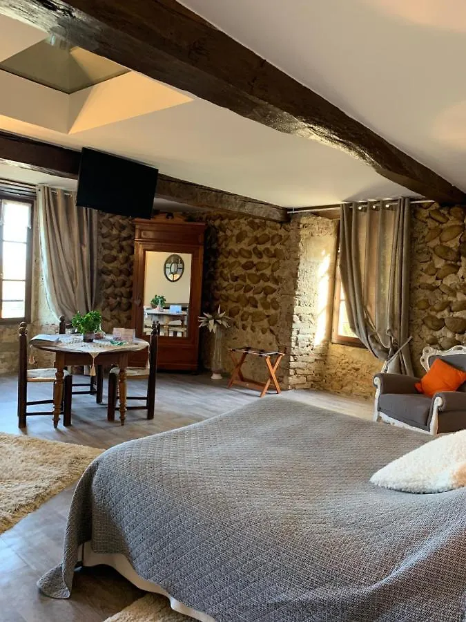 Bed & Breakfast Chateau De La Saone Lens-Lestang France