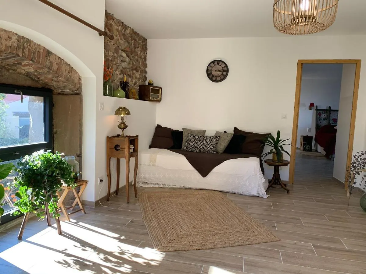 Chateau De La Saone Lens-Lestang Bed & Breakfast