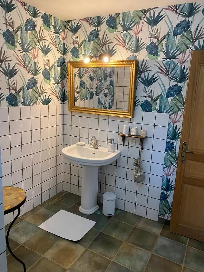 Bed & Breakfast Chateau De La Saone Lens-Lestang France