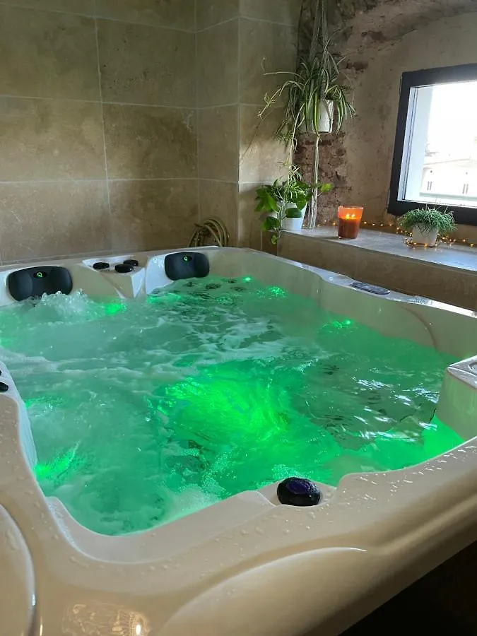 Bed & Breakfast Chateau De La Saone Lens-Lestang