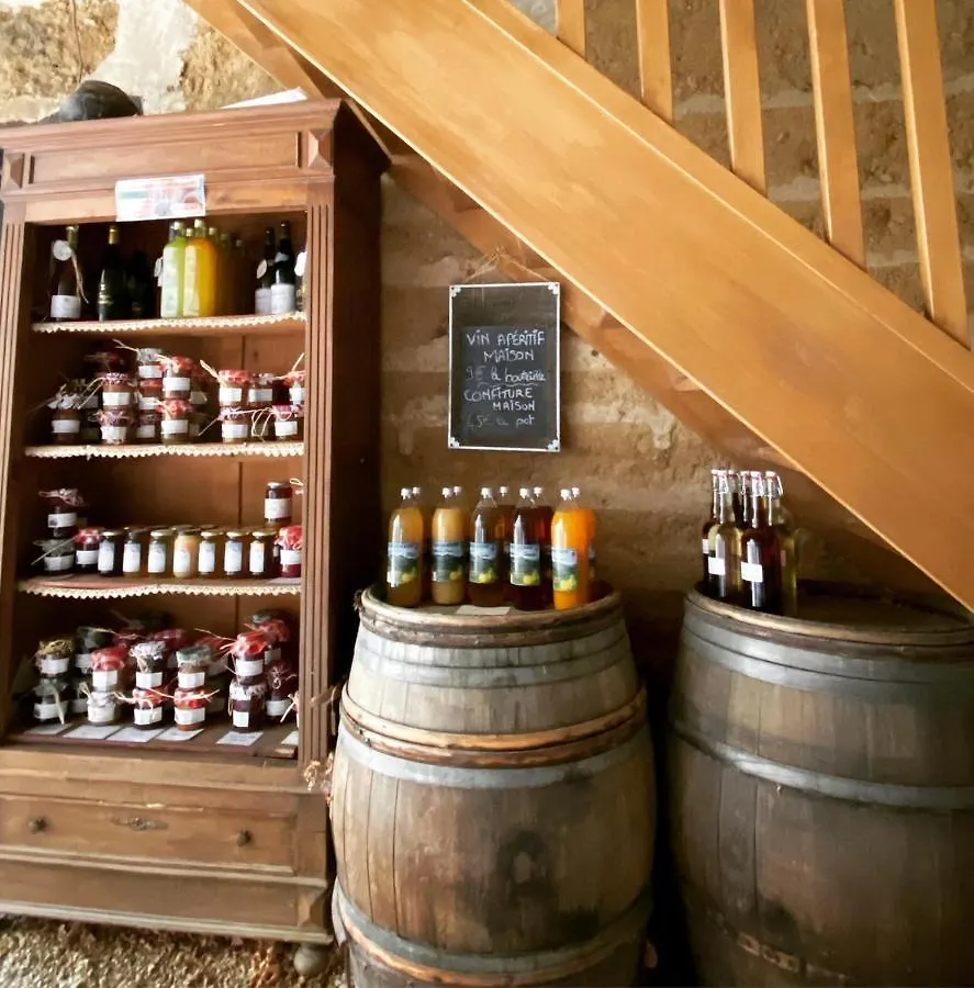 Chateau De La Saone Lens-Lestang Bed & Breakfast