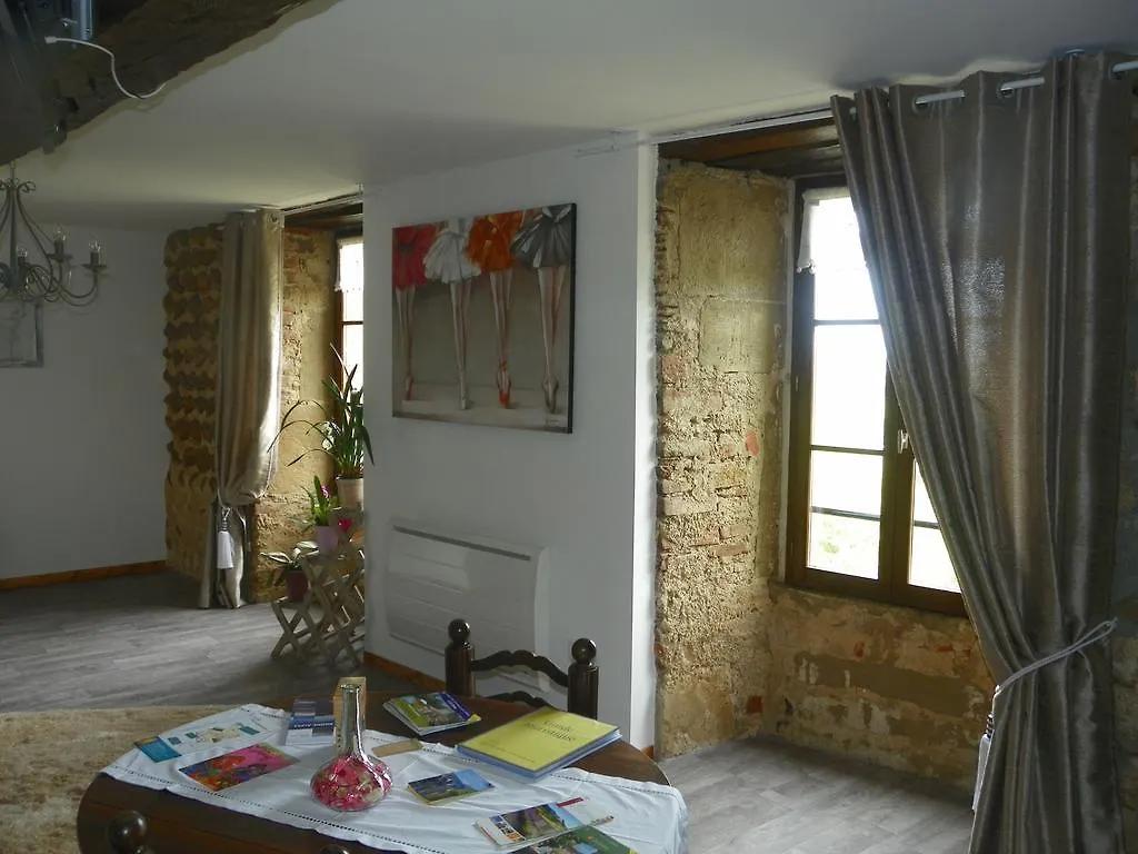 Chateau De La Saone Lens-Lestang France