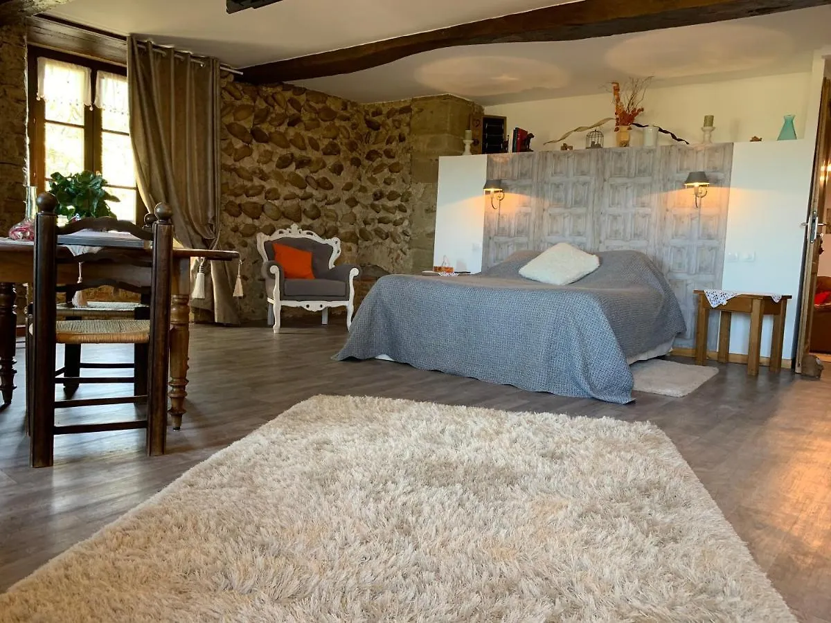 Chateau De La Saone Lens-Lestang Bed & Breakfast