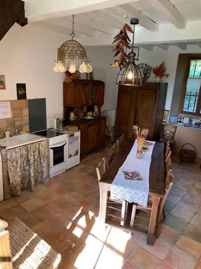 Chateau De La Saone Lens-Lestang Bed & Breakfast