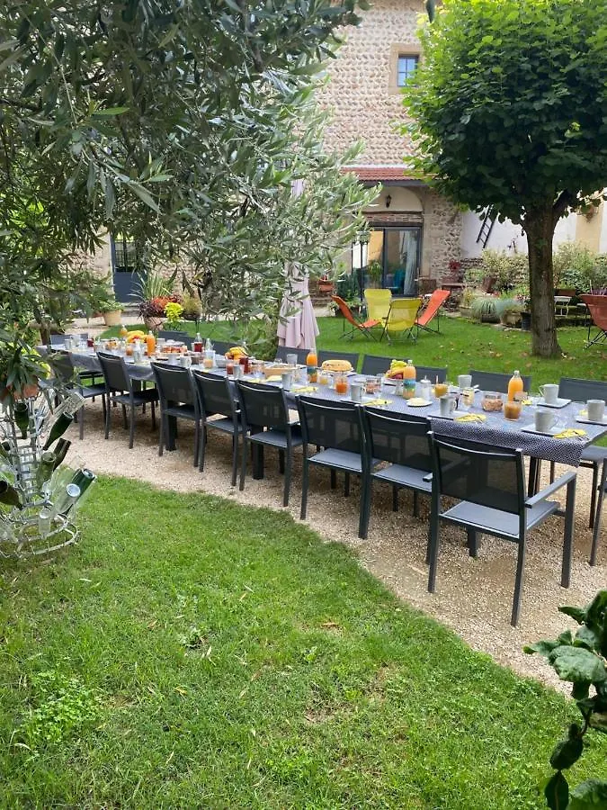 Chateau De La Saone Lens-Lestang Bed & Breakfast